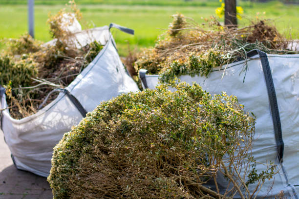 Best Yard Waste Removal  in Concord, MI